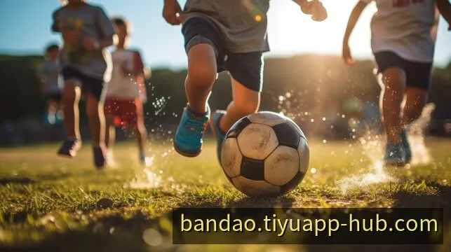 半岛App 官方客户端多端视效总览